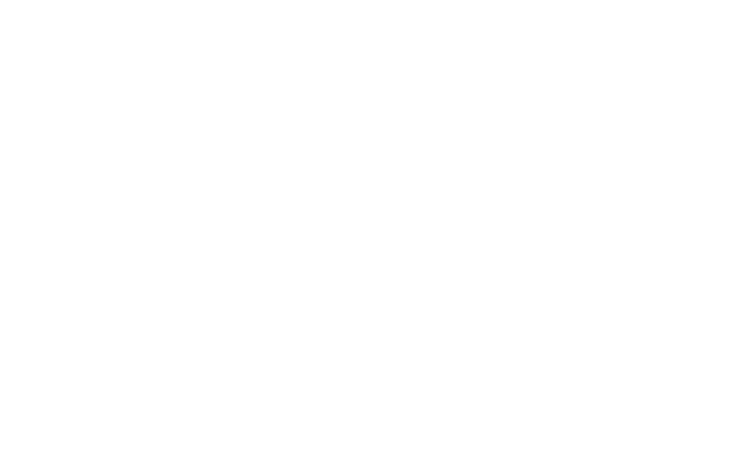美味しい料理には、美しい器がある。 